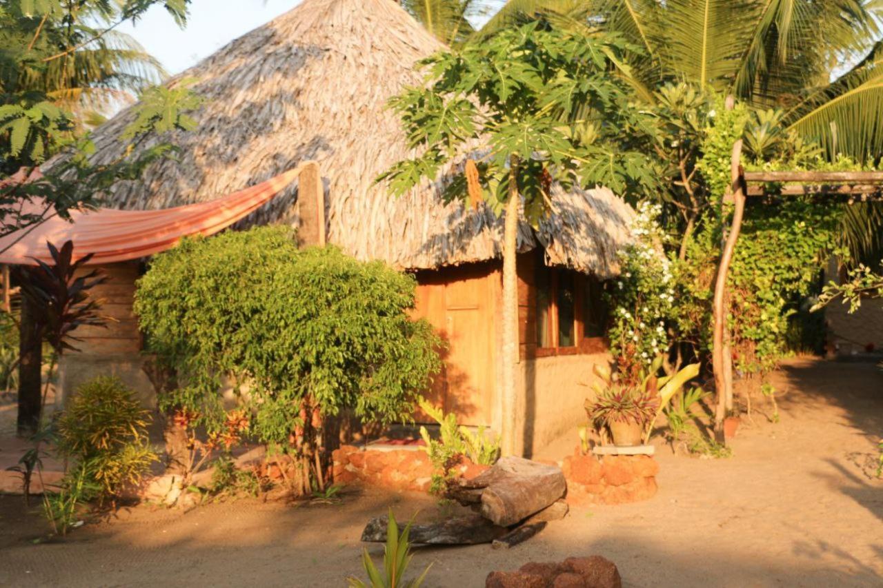 Monsoon Eco Resort - Whisky Point Arugambay Pottuvil Esterno foto