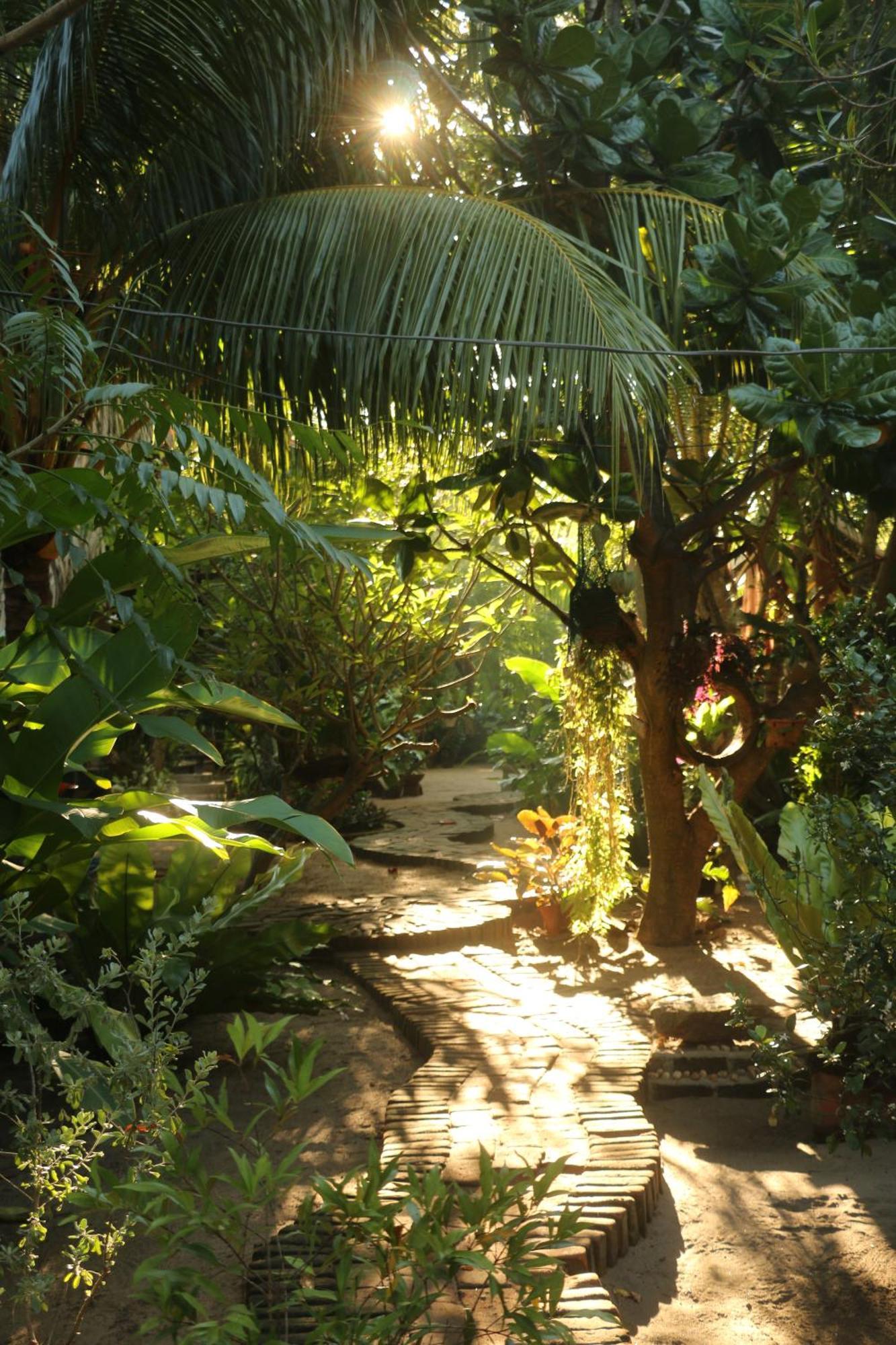 Monsoon Eco Resort - Whisky Point Arugambay Pottuvil Esterno foto
